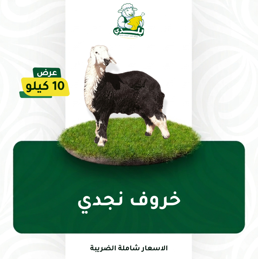 عرض 10 كيلو نجدي
