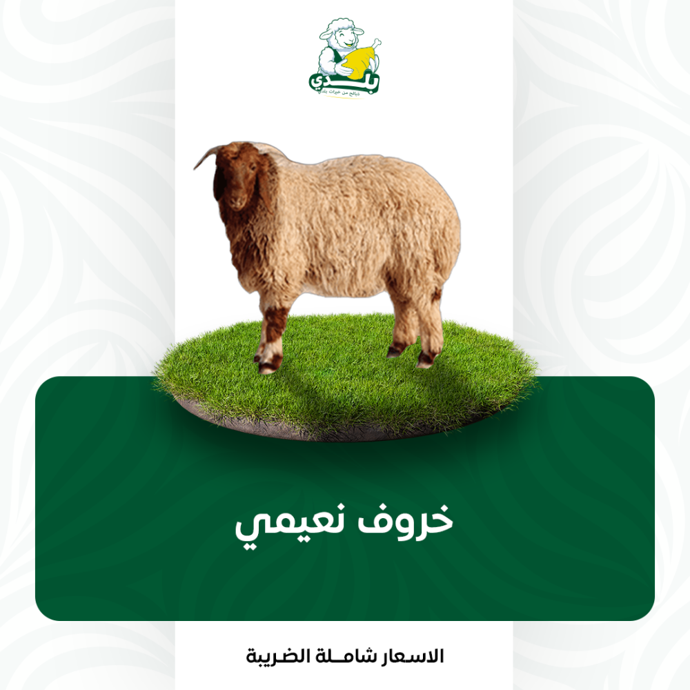عقيقة نعيمي