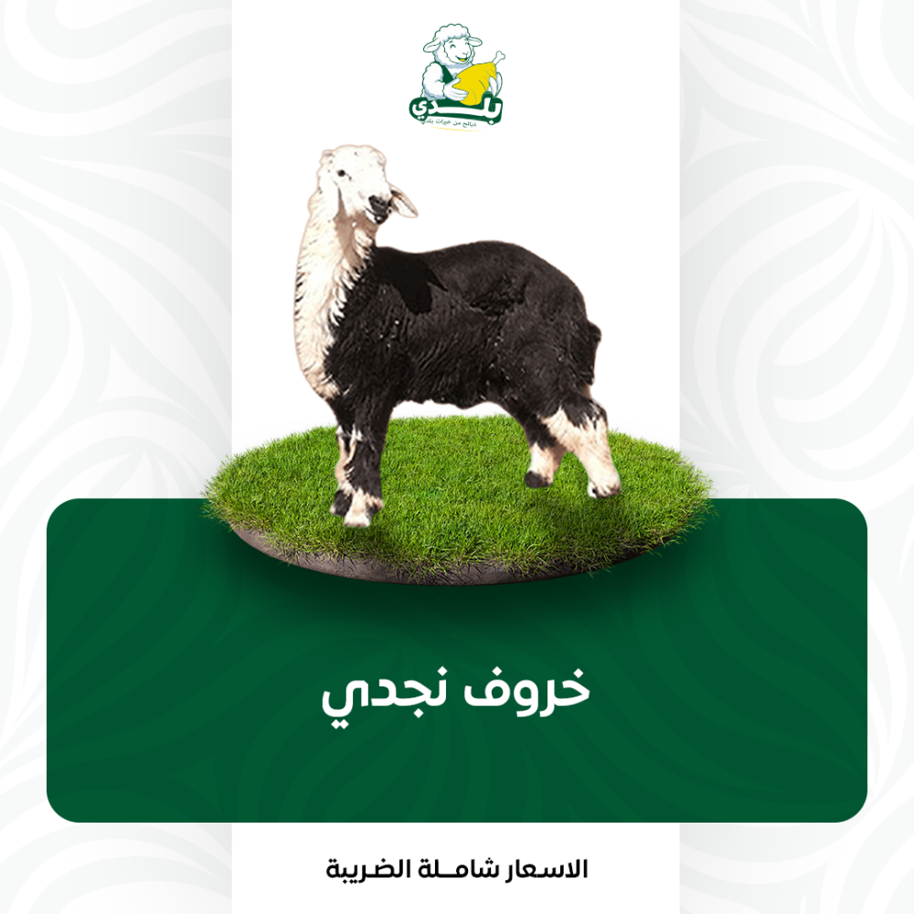 عقيقة نجدي